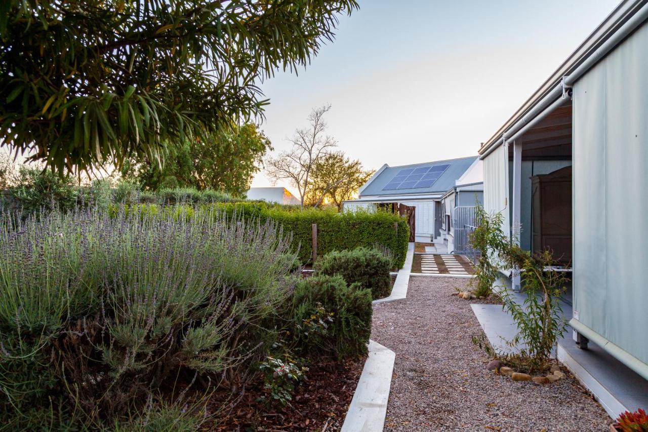Karoo Masterclass - Accommodation Prince Albert Exteriér fotografie